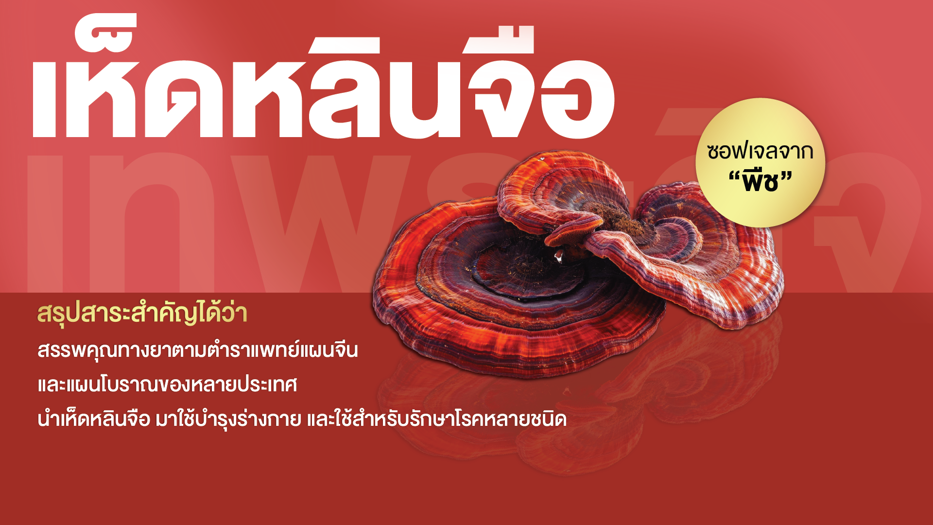 เห็ดหลินจือสกัด พลัส ซอฟเจล