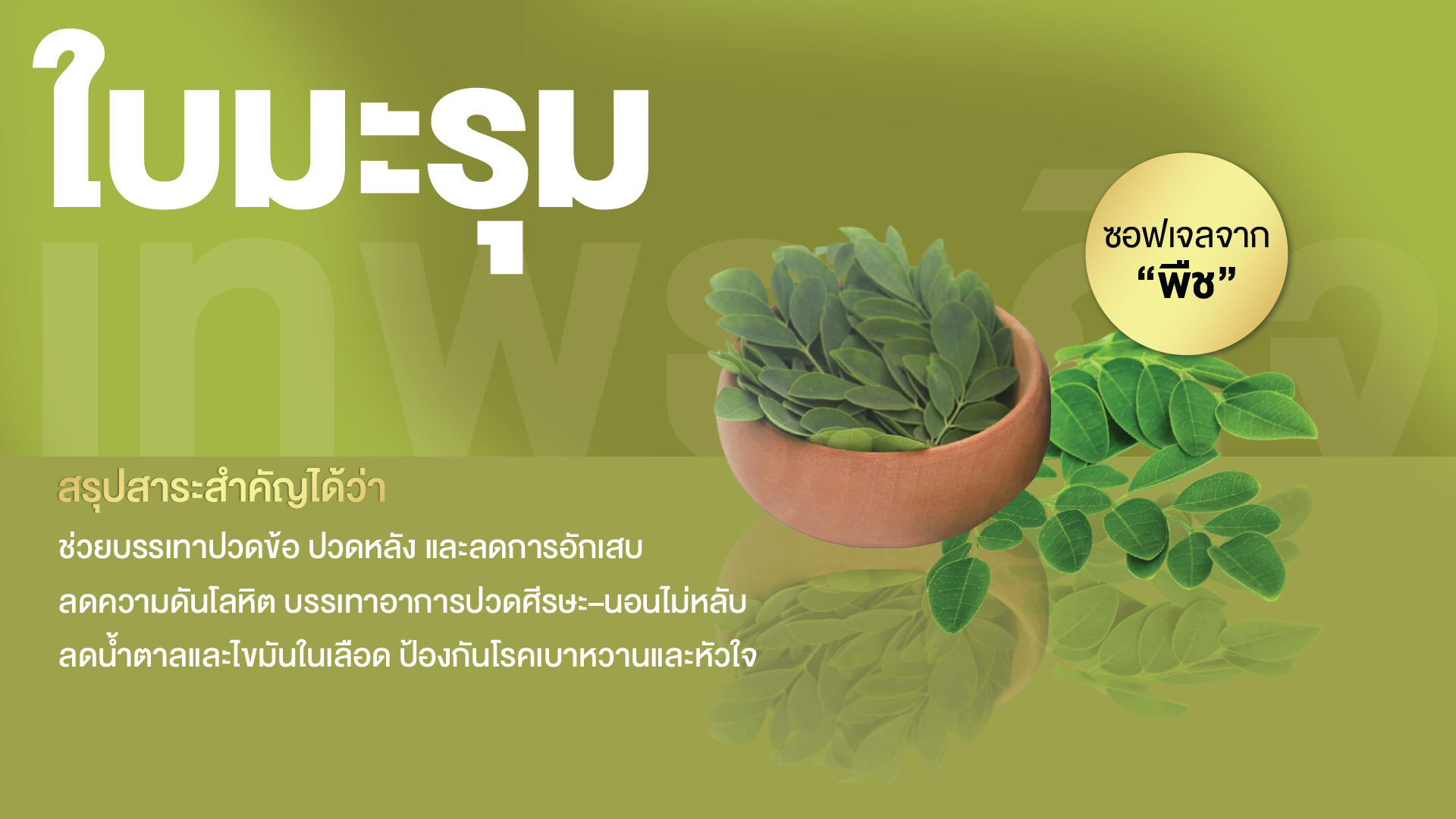 ใบมะรุมสกัด พลัส ซอฟเจล
