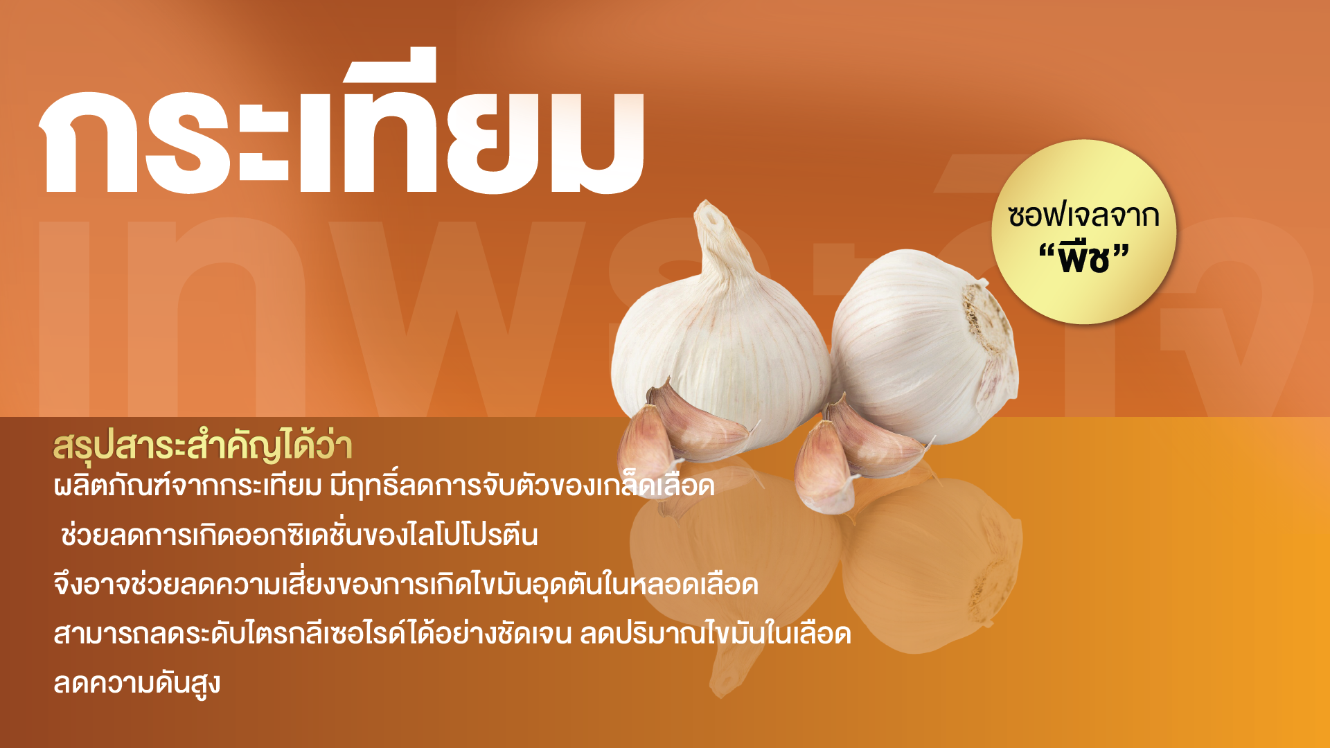 กระเทียมสกัด พลัส ซอฟเจล