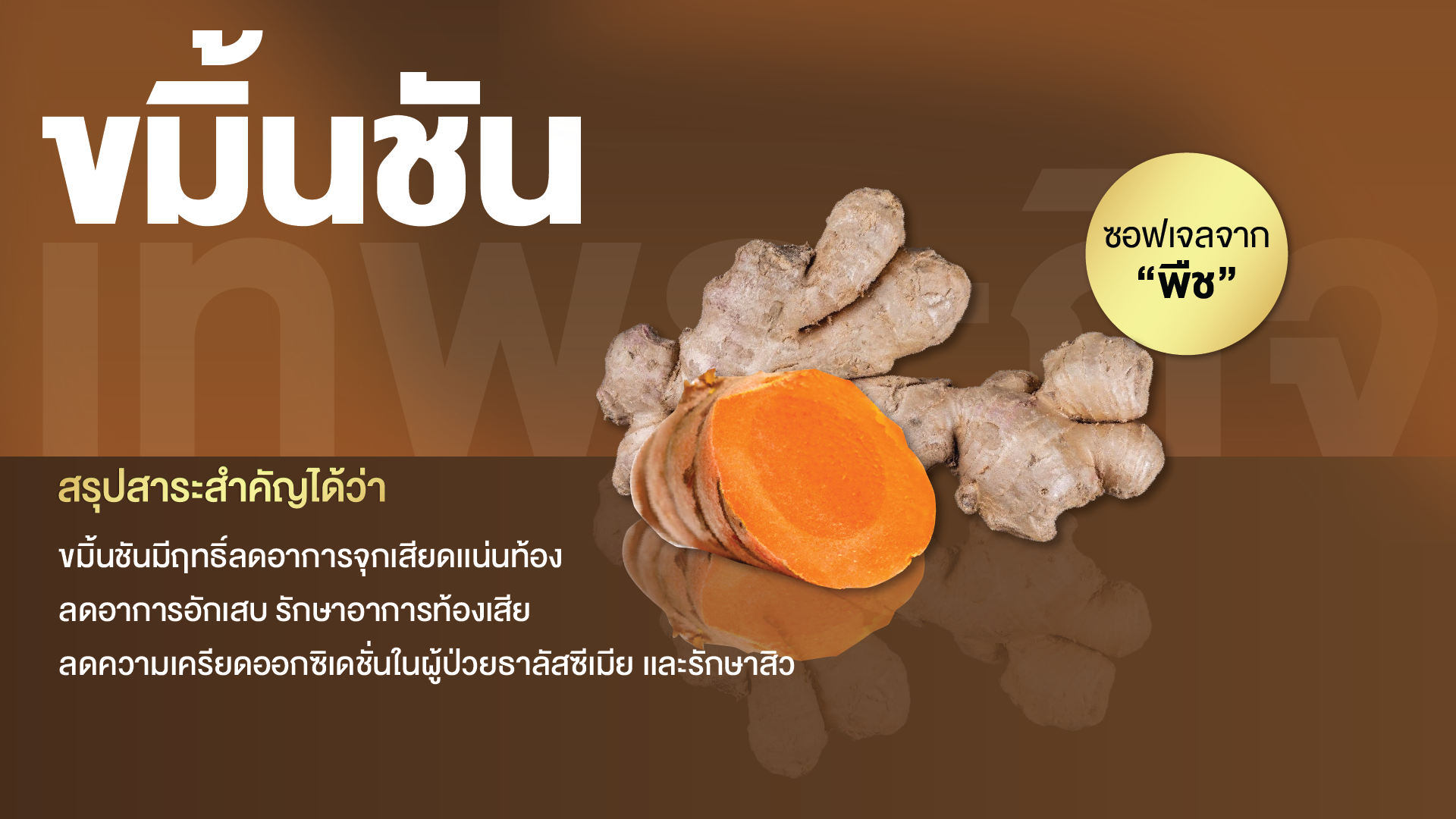 ขมิ้นชันสกัด พลัส ซอฟเจล