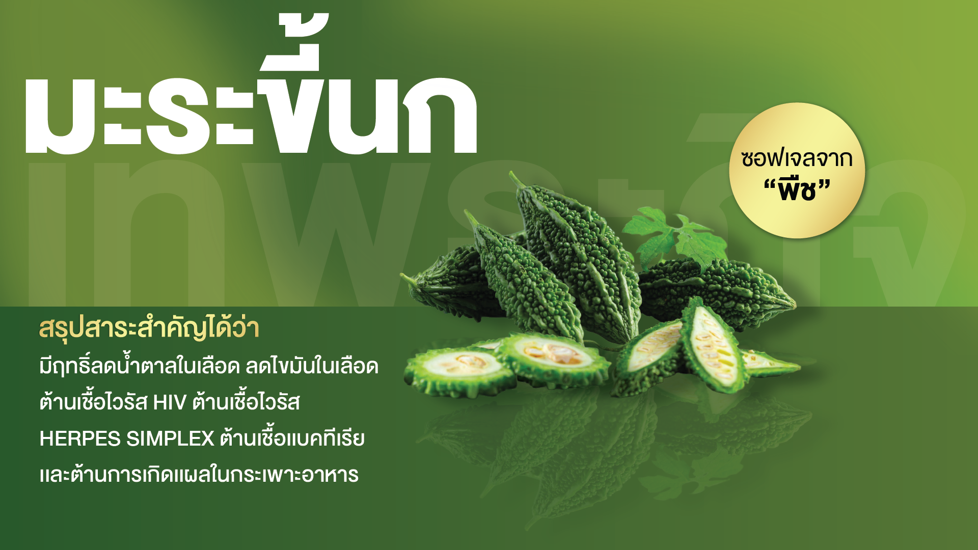 มะระขี้นก พลัส ซอฟเจล
