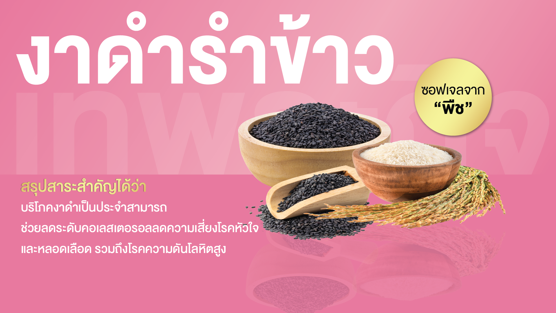 น้ำมันงาดำและรำข้าวสกัด พลัส ซอฟเจล