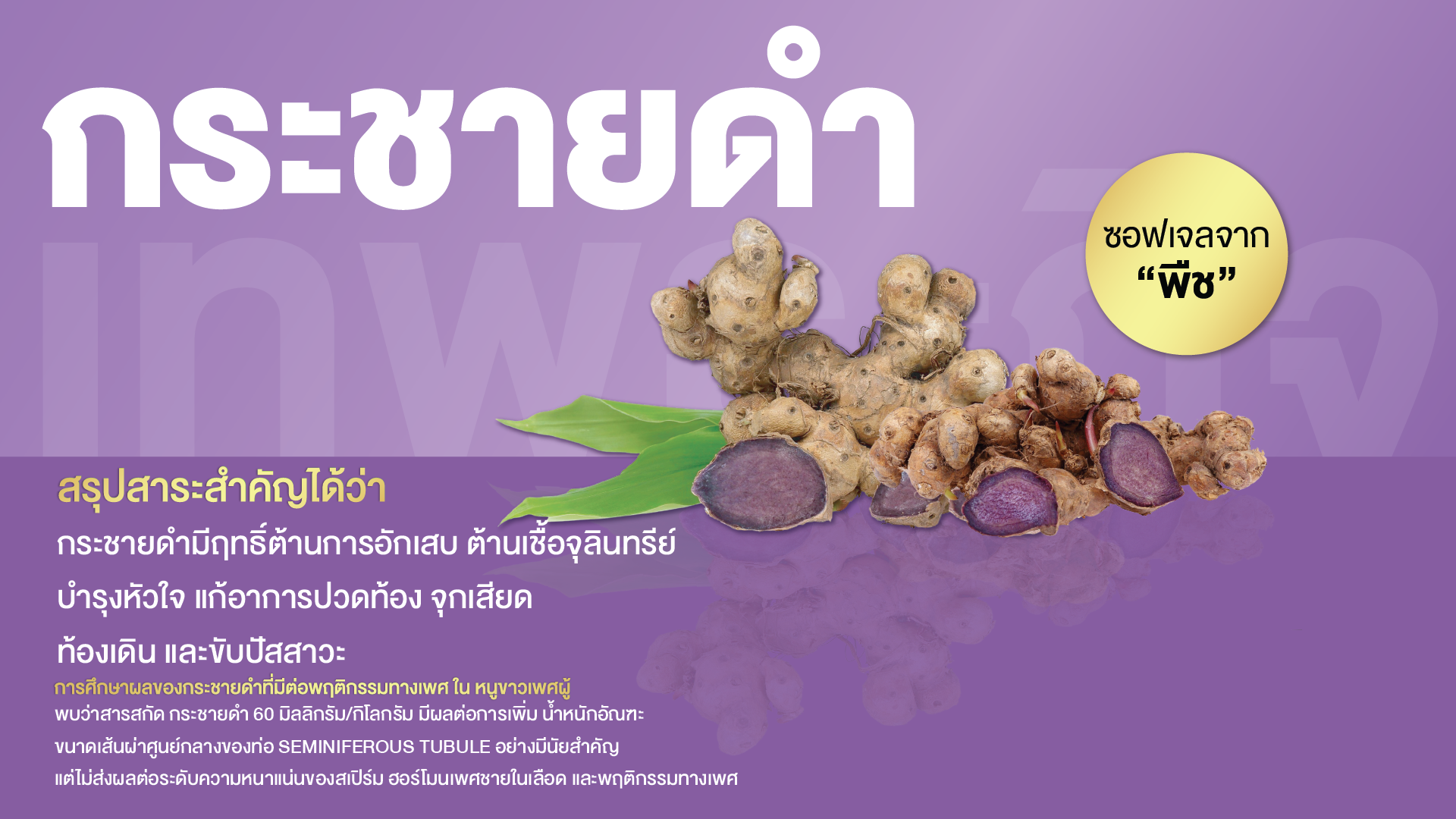 กระชายดำสกัด พลัส ซอฟเจล