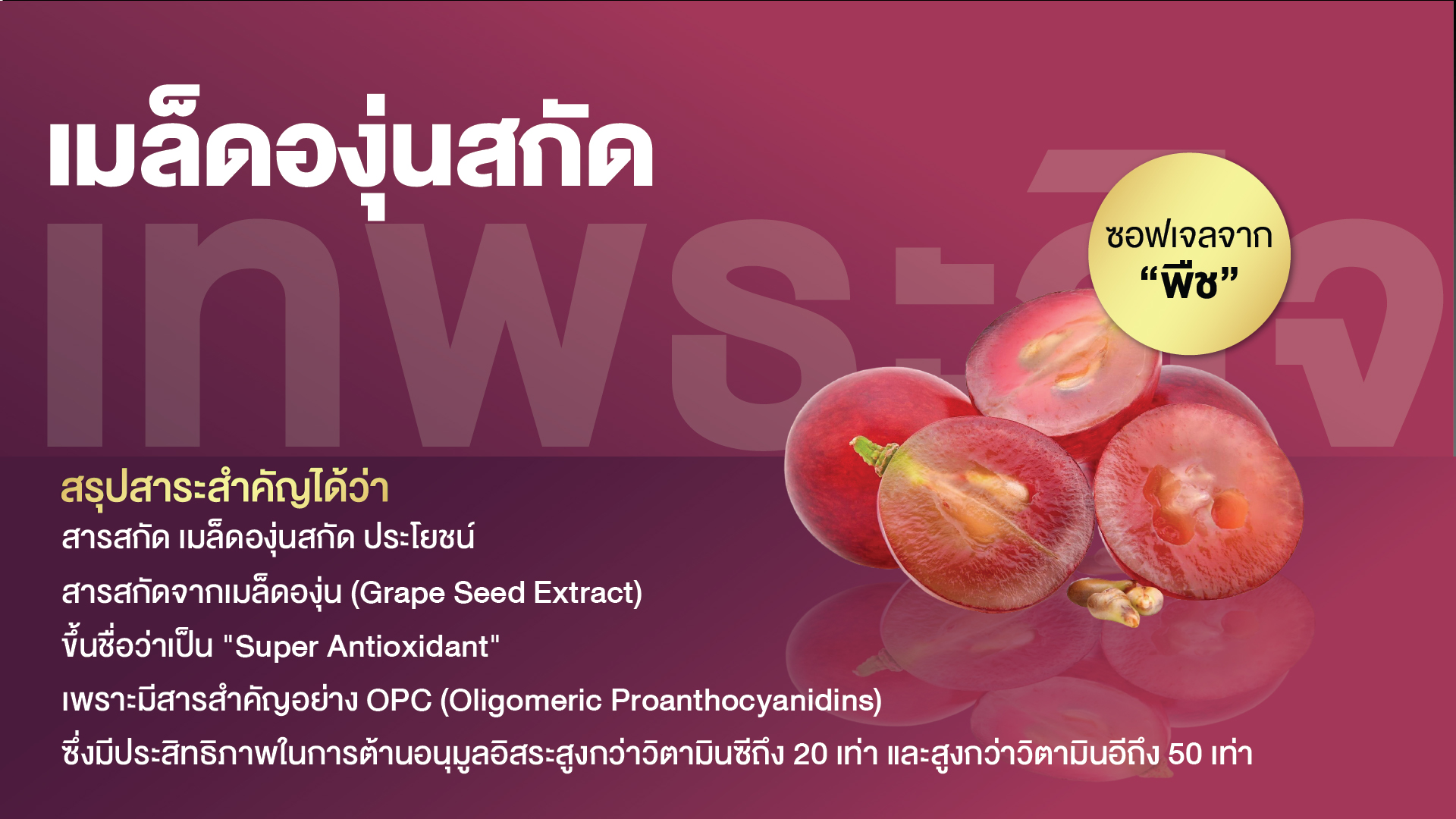 เมล็ดองุ่นสกัด พลัส ซอฟเจล