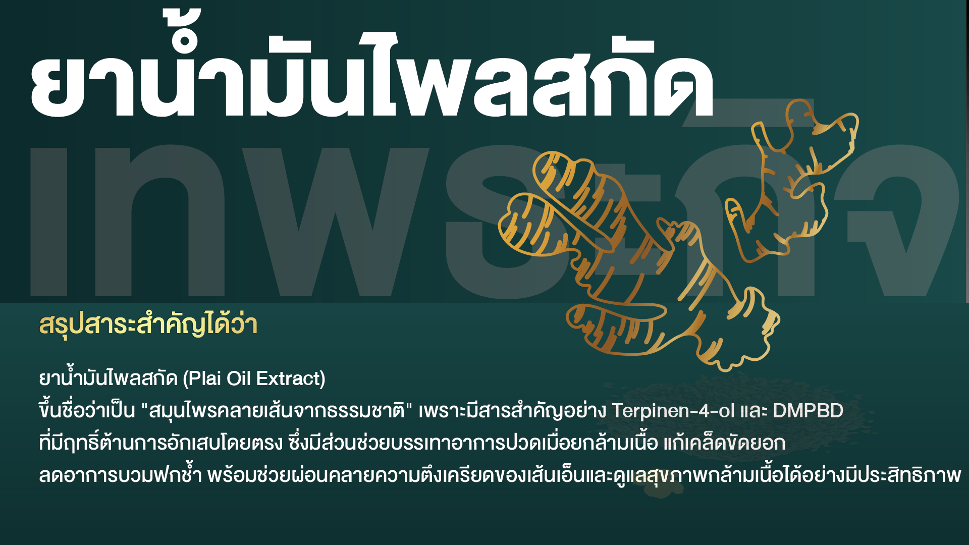 ยาน้ำมันไพลสกัด